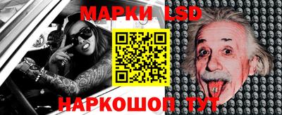 крисы Кулебаки