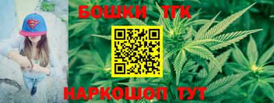 крисы Кулебаки