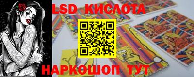 крисы Кулебаки