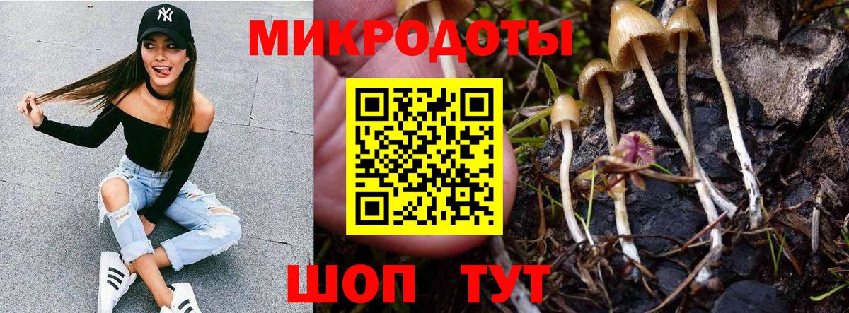 Псилоцибиновые грибы прущие грибы  Вход с VPN  Кингисепп 